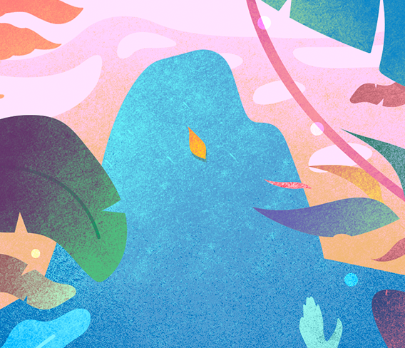 Illustration Leaf
