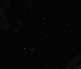 GIF motion design typographique : Clément Vannier